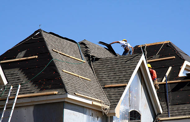 Best Commercial Roofing Services  in Albany, MN